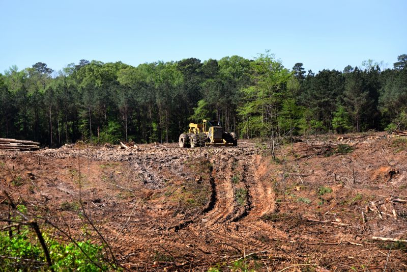 Building Site Clearing in Cumming, GA