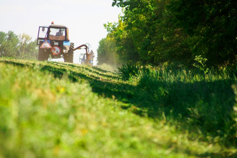 Farm Clearing in Utah County, UT