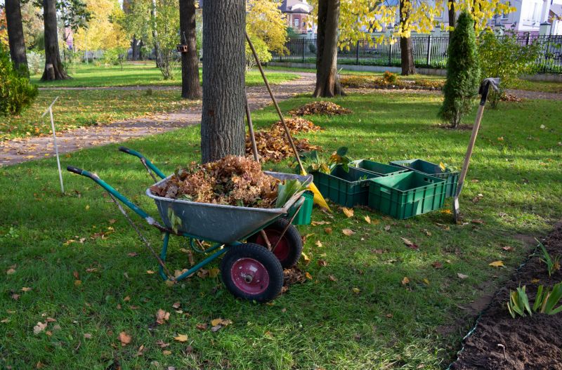 Ground Clearing in Utah County, UT