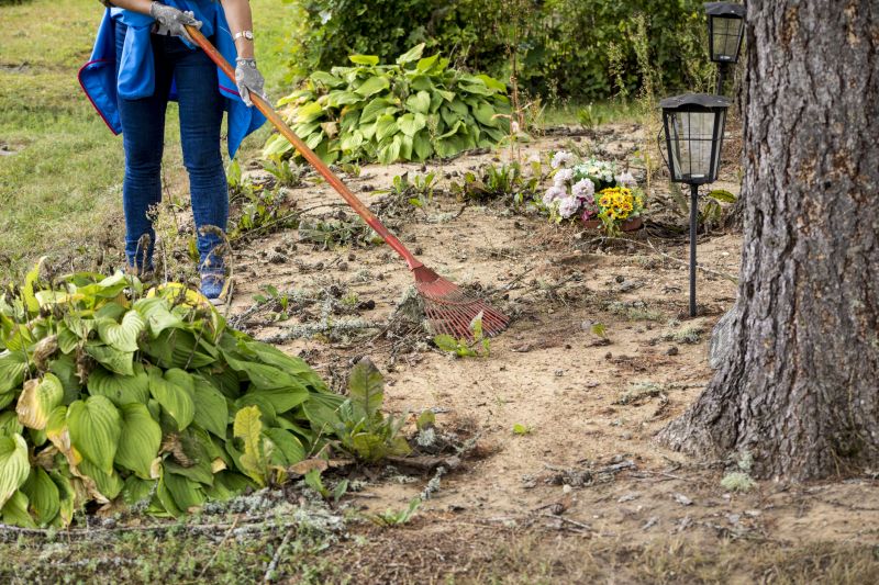 Land Clearing in Atlanta, GA