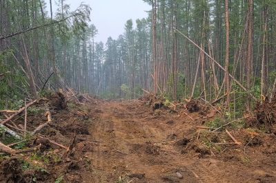 Parking Lot Land Clearing in Gwinnett County, GA