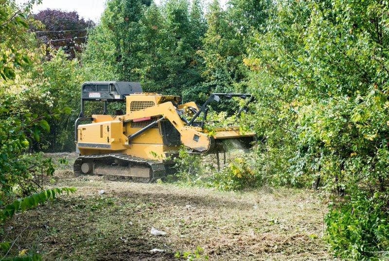 Pasture Clearing in Utah County, UT