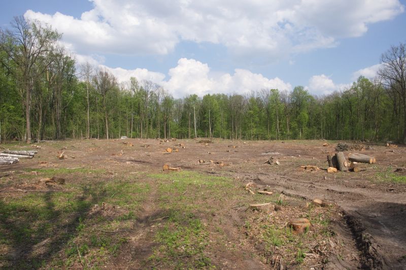 Pasture Clearing in Cumming, GA