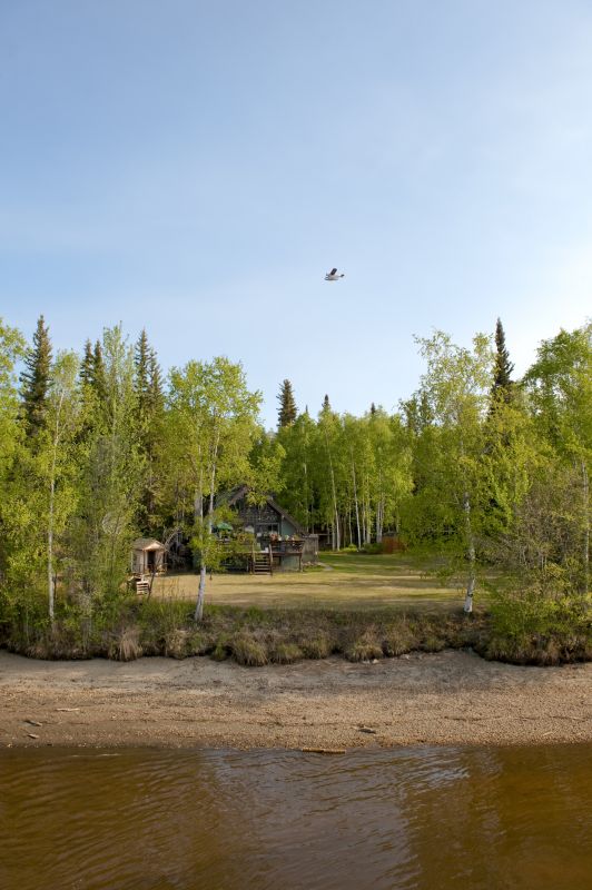 Pool Land Clearing in Houston, TX