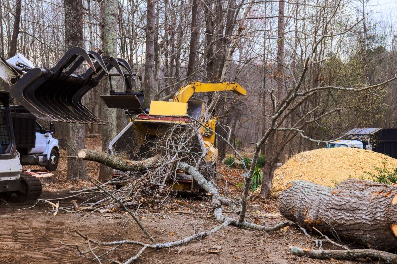 Land Clearing Activities